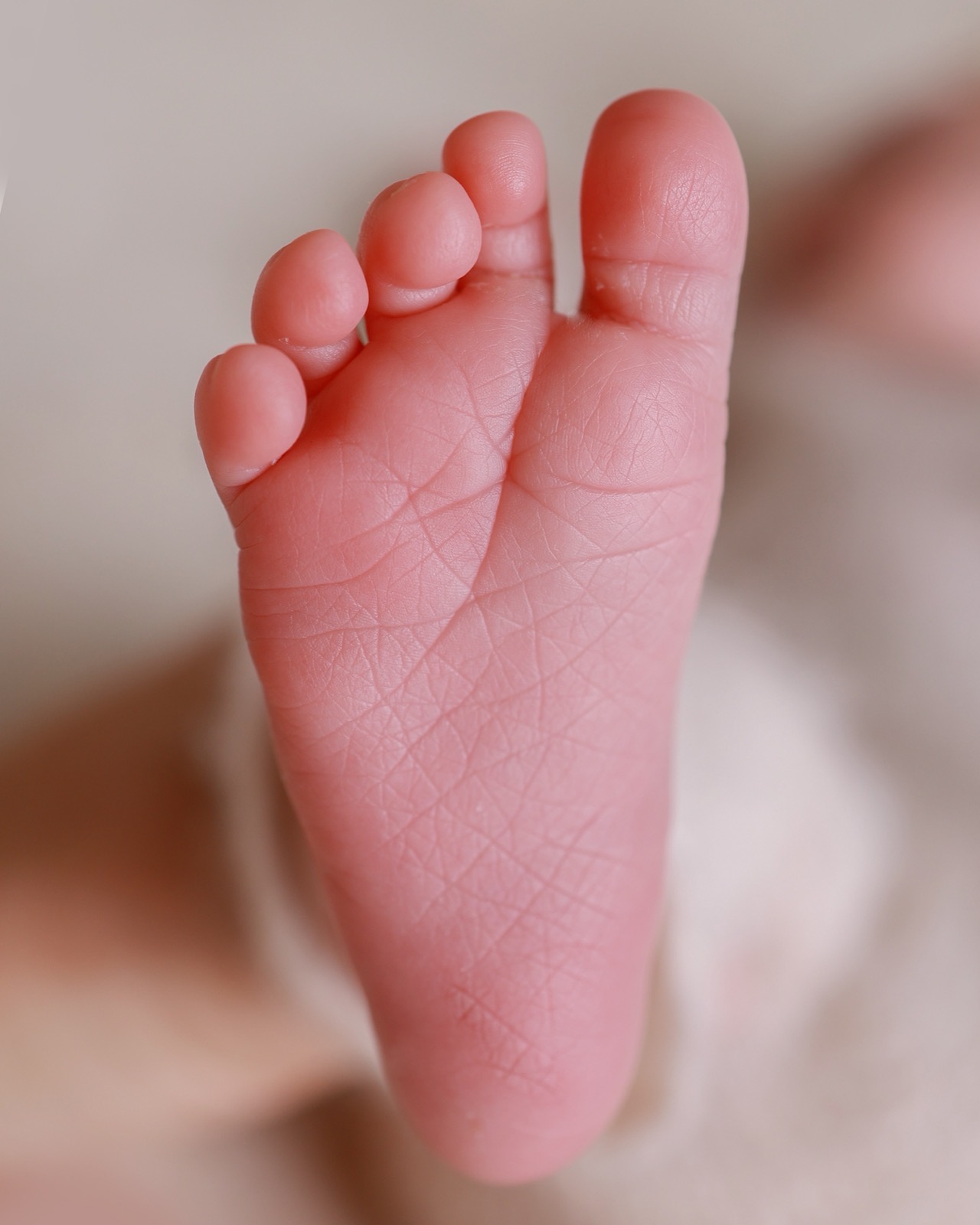 Extreme close-up of a sleeping newborn's sole