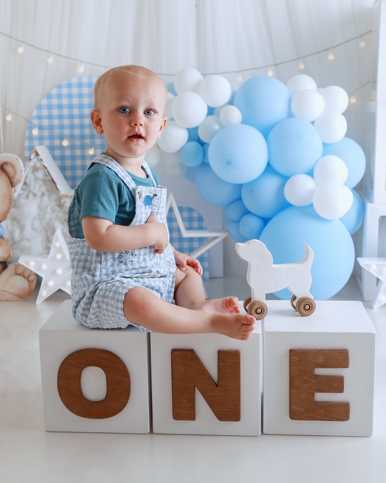 Toddler boy sitting on wooden 'ONE' blocks in a teal top and gingham dungarees, with a small wooden toy dog on wheels