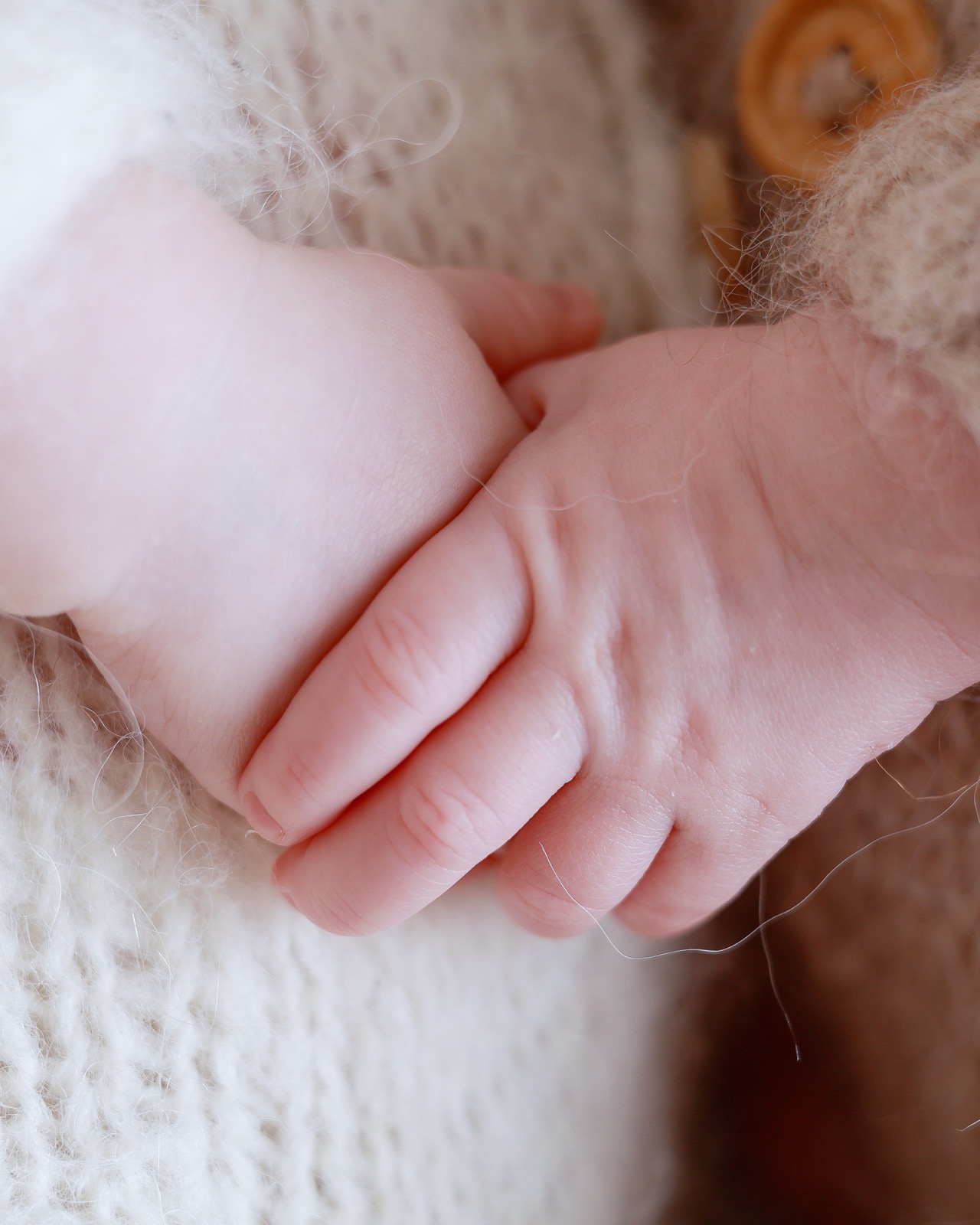 Close-up of newborn twins' hands clasped together, fingers intertwined, wrapped in a soft knitted blanket