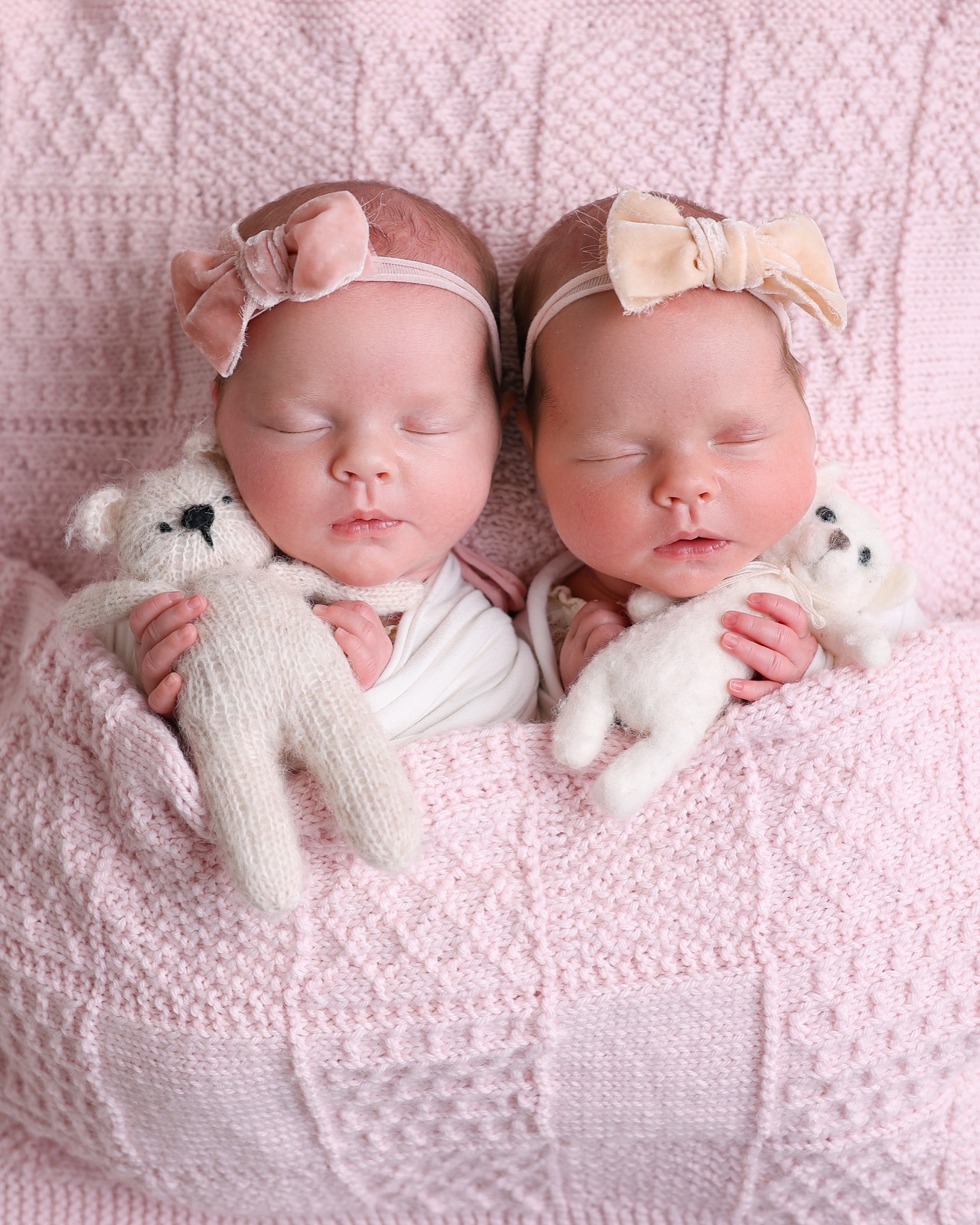 Newborn twin girls asleep on a pink blanket, each holding a knitted teddy bear, wearing bow headbands